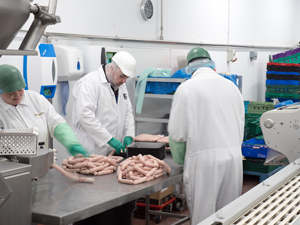 Sausages being packed on to trays ready for sealing