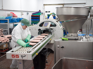 sausages being loaded onto a feed conveyor